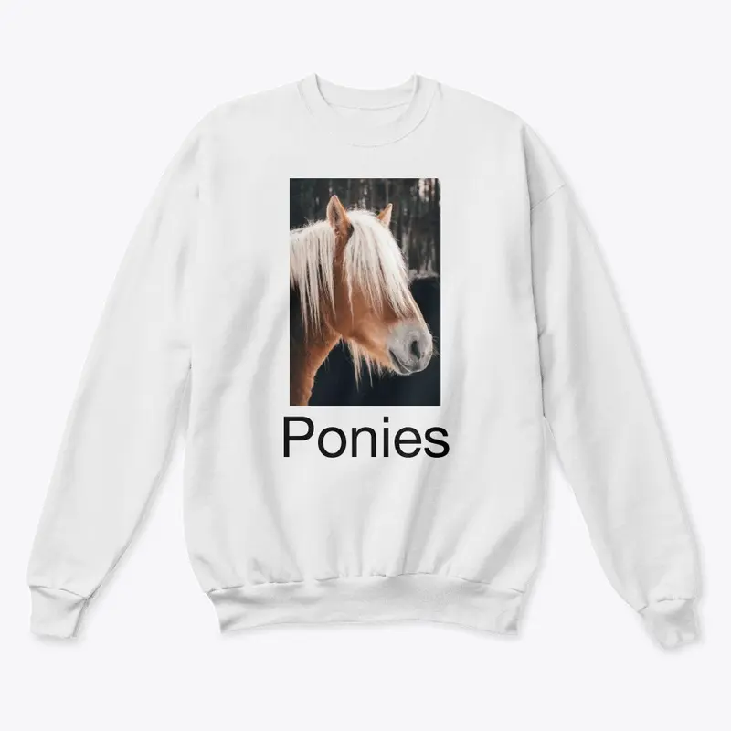 Ponies design