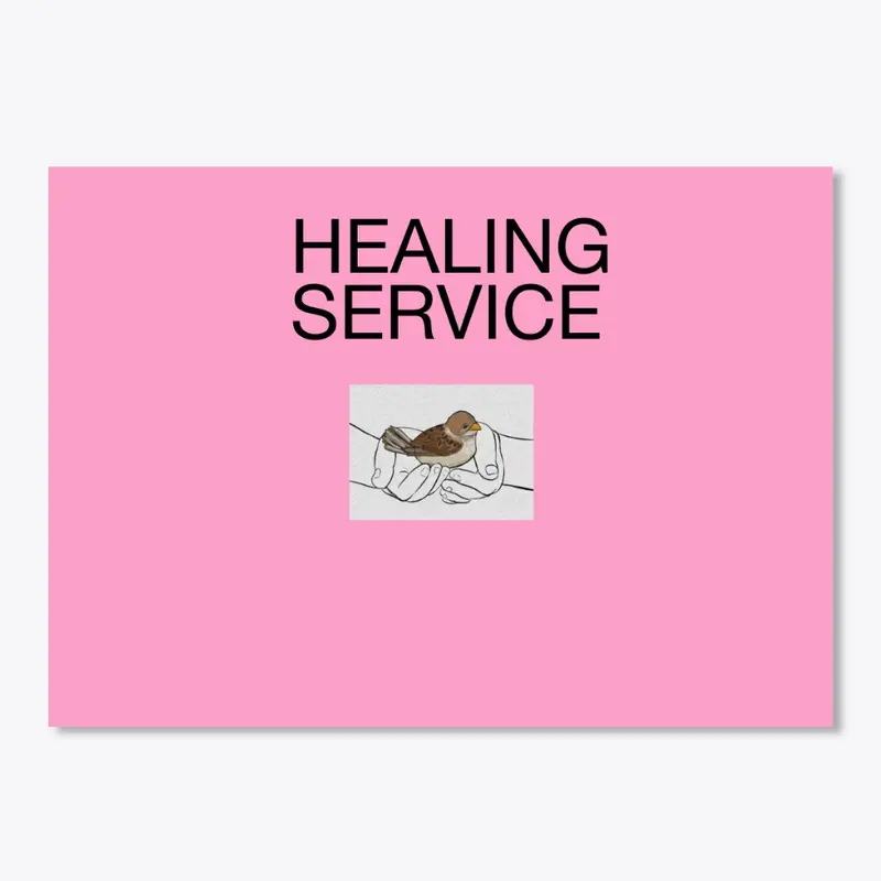 Healing Service sparrow shirt