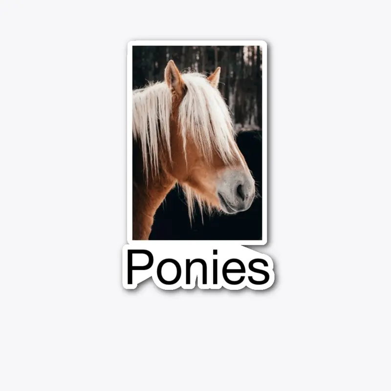 Ponies design